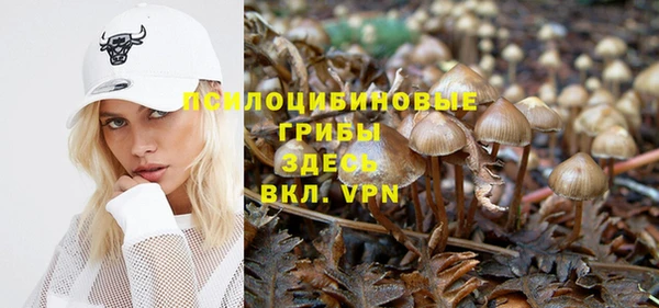 MDMA Осинники