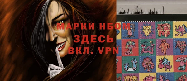 гидропоника Медногорск