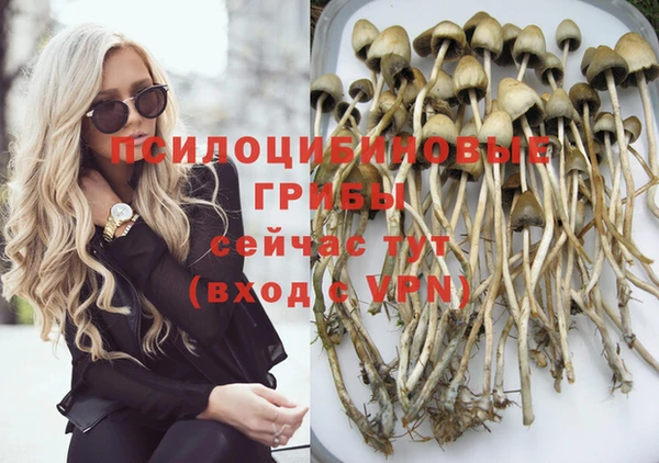 первитин Надым