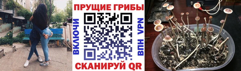 Псилоцибиновые грибы Magic Shrooms  цена наркотик  Калининск 